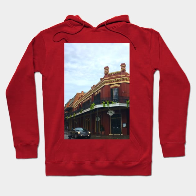 New Orleans Street Hoodie by ParadisePaws